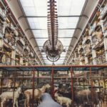 brown and white brick building