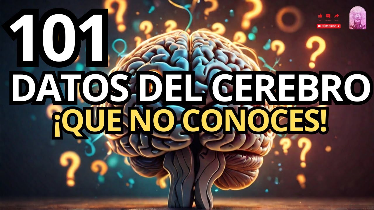 curiosidades del cerebro humano