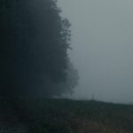 a lone sheep standing in the middle of a field on a foggy day